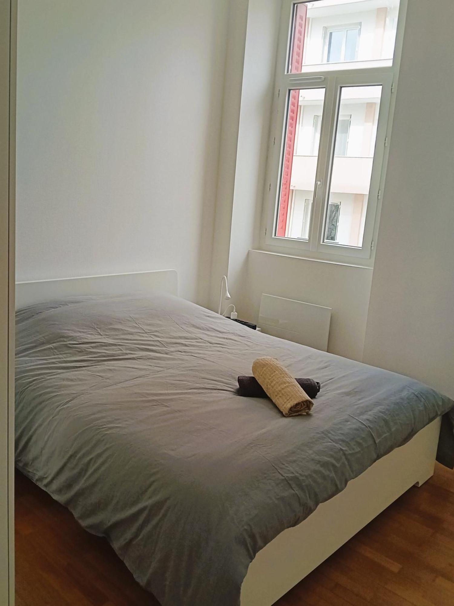 102 - Appart Renove Avec Grand Salon Et 1 Chambre - Tram Et Clinique Mutualiste A 1 Min Grenoble Exterior photo